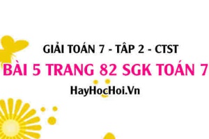 Giải bài 5 trang 82 Toán 7 tập 2 SGK Chân trời sáng tạo